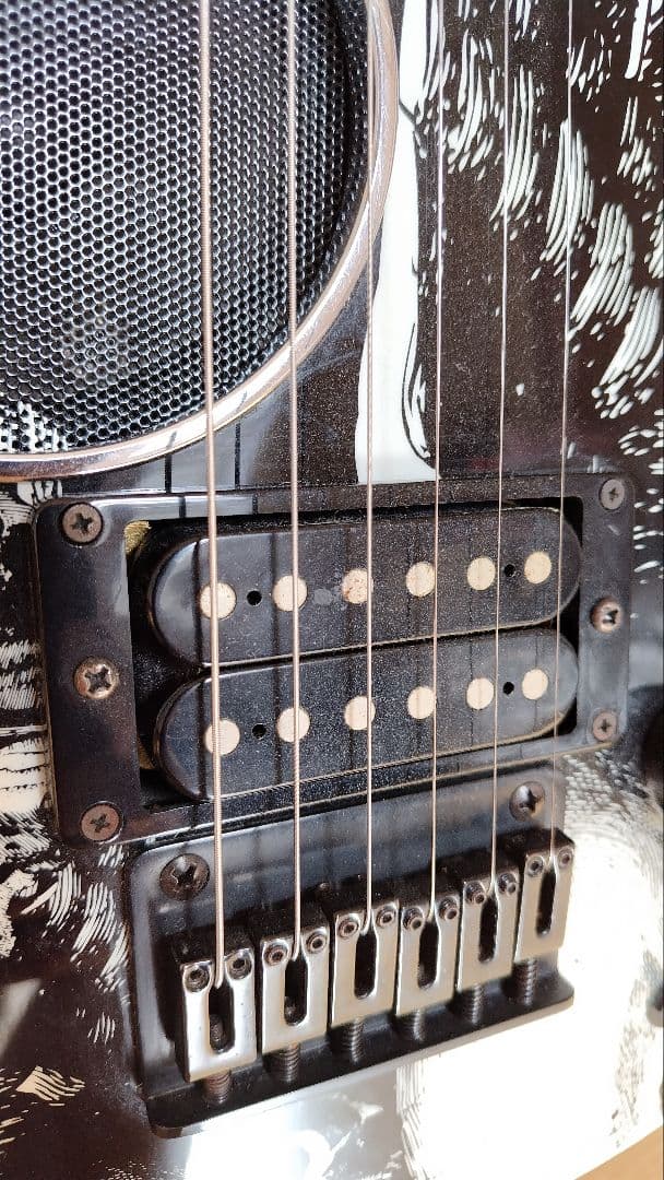 FERNANDES DIGI-ZO HYPER スカル