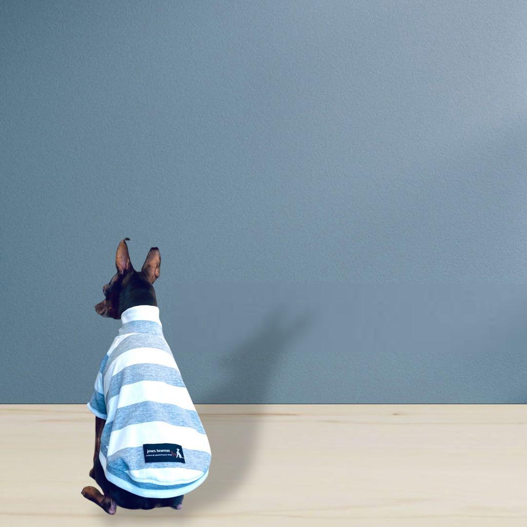 ⑱ボーダーショートスリーブ