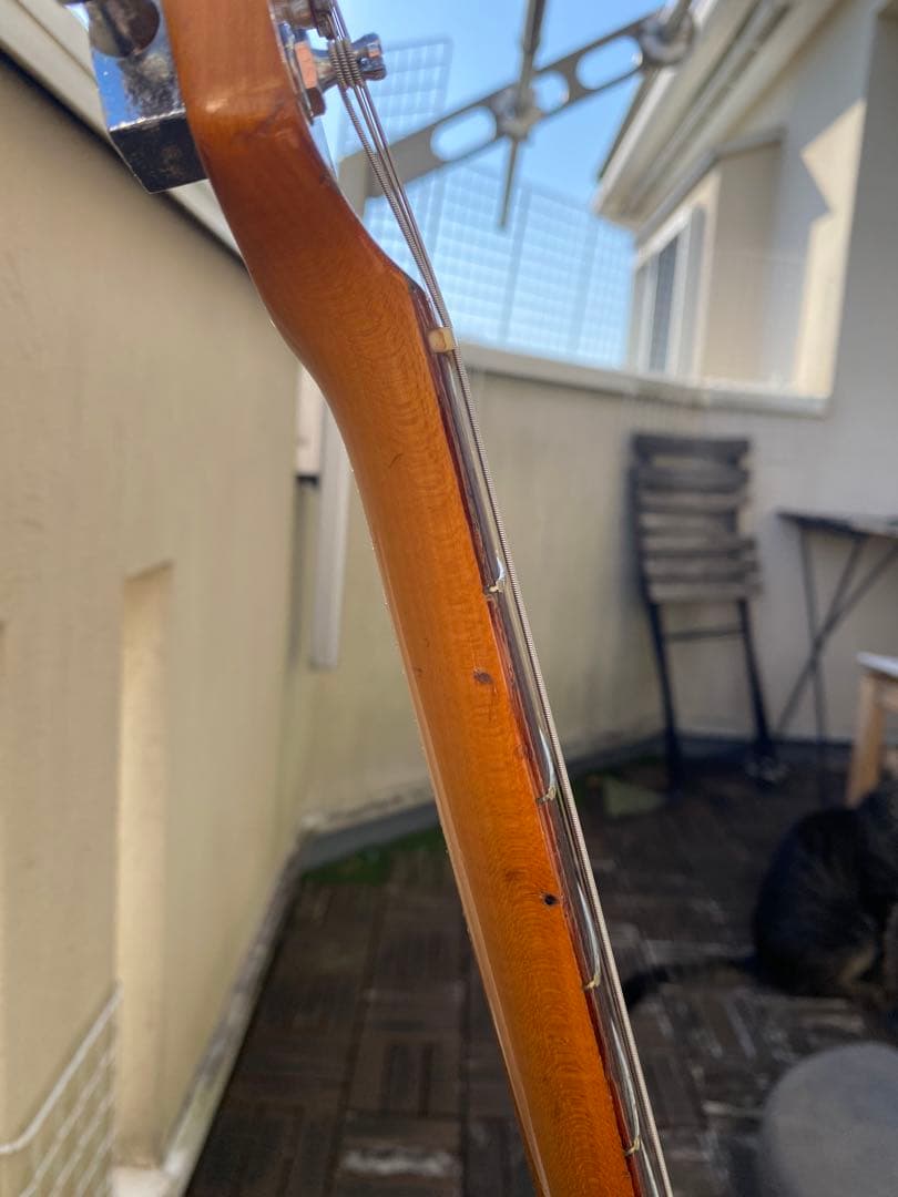 CAMEL(ジャパンヴィンテージ/ストラトキャスター タイプ)