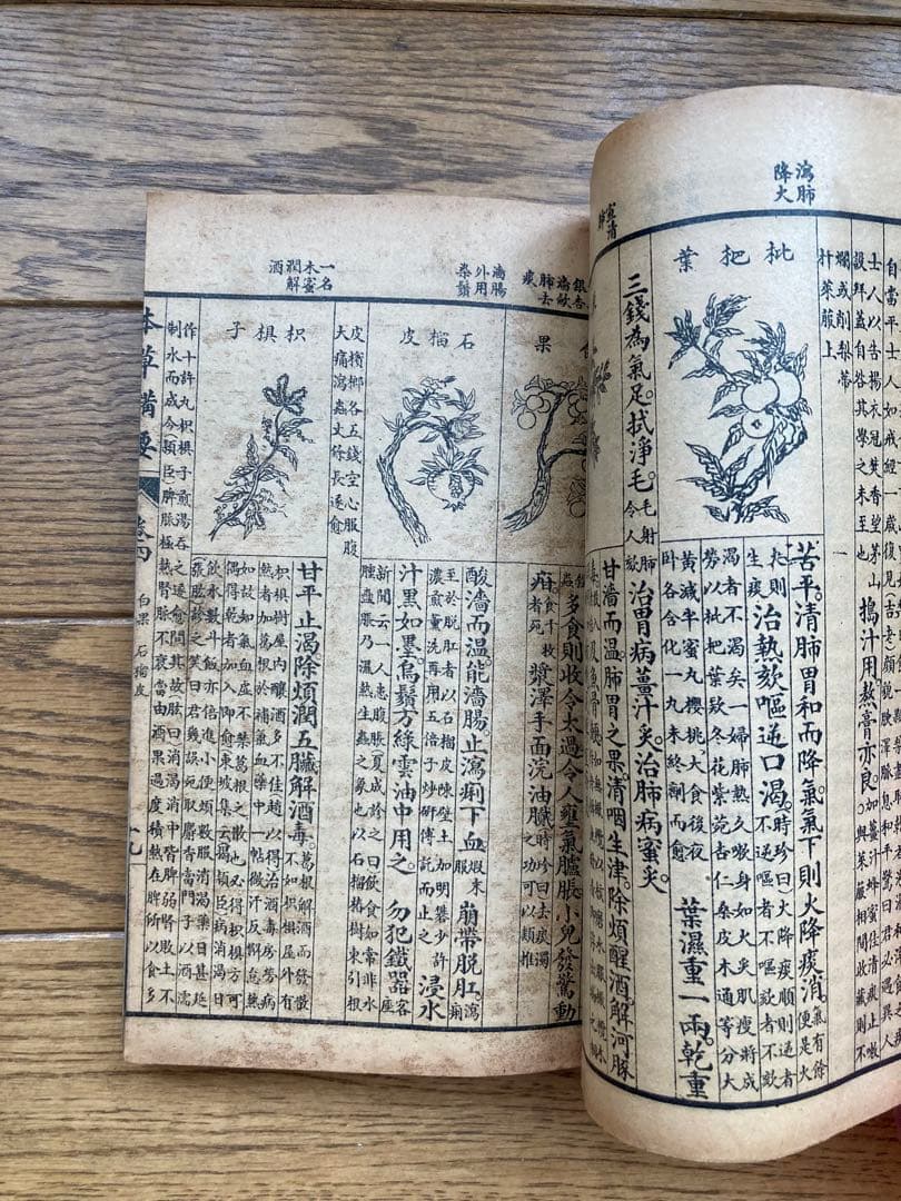 本草備要　經驗千方　古本　古書　古典