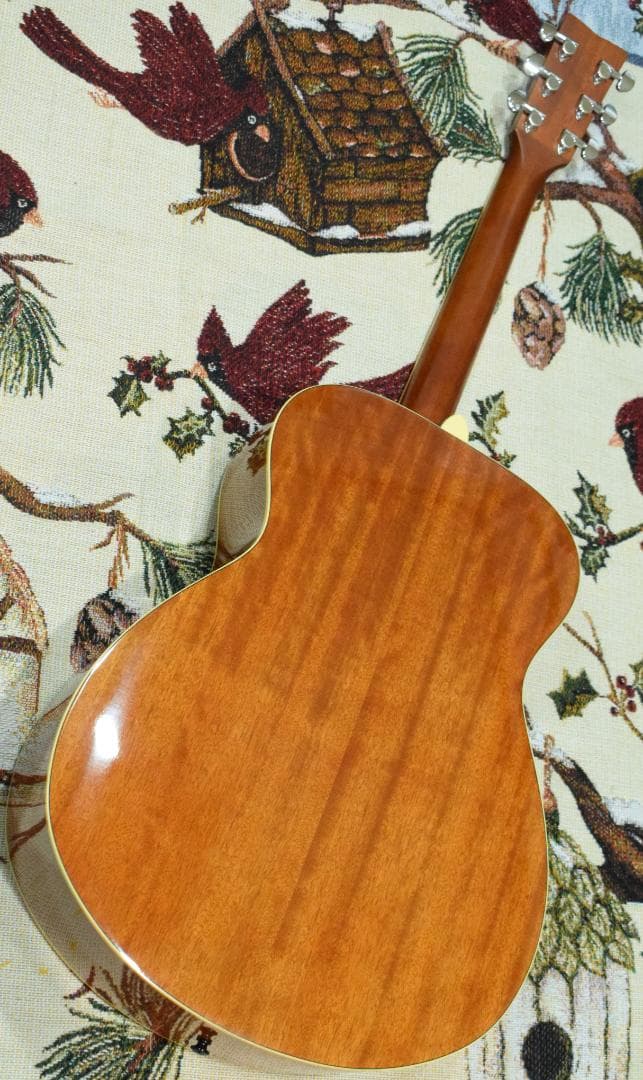 YAMAHA ヤマハ FS720S TBS ケース付き アコギ