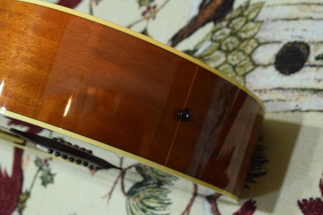 YAMAHA ヤマハ FS720S TBS ケース付き アコギ