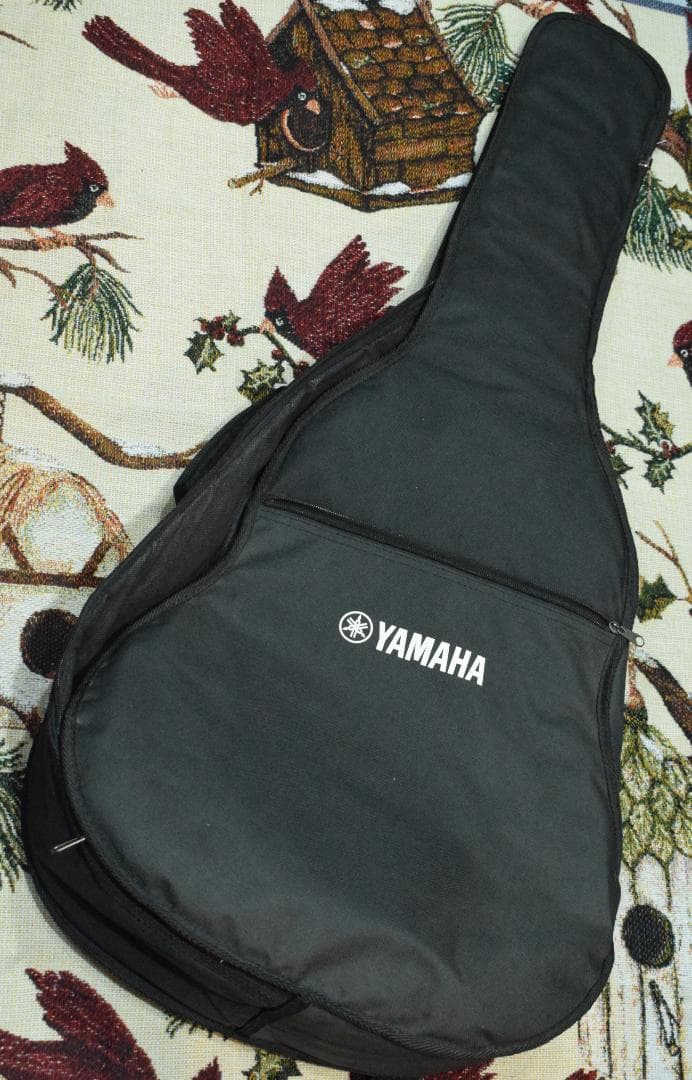 YAMAHA ヤマハ FS720S TBS ケース付き アコギ