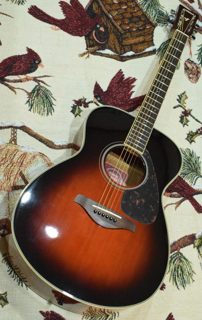 YAMAHA ヤマハ FS720S TBS ケース付き アコギ