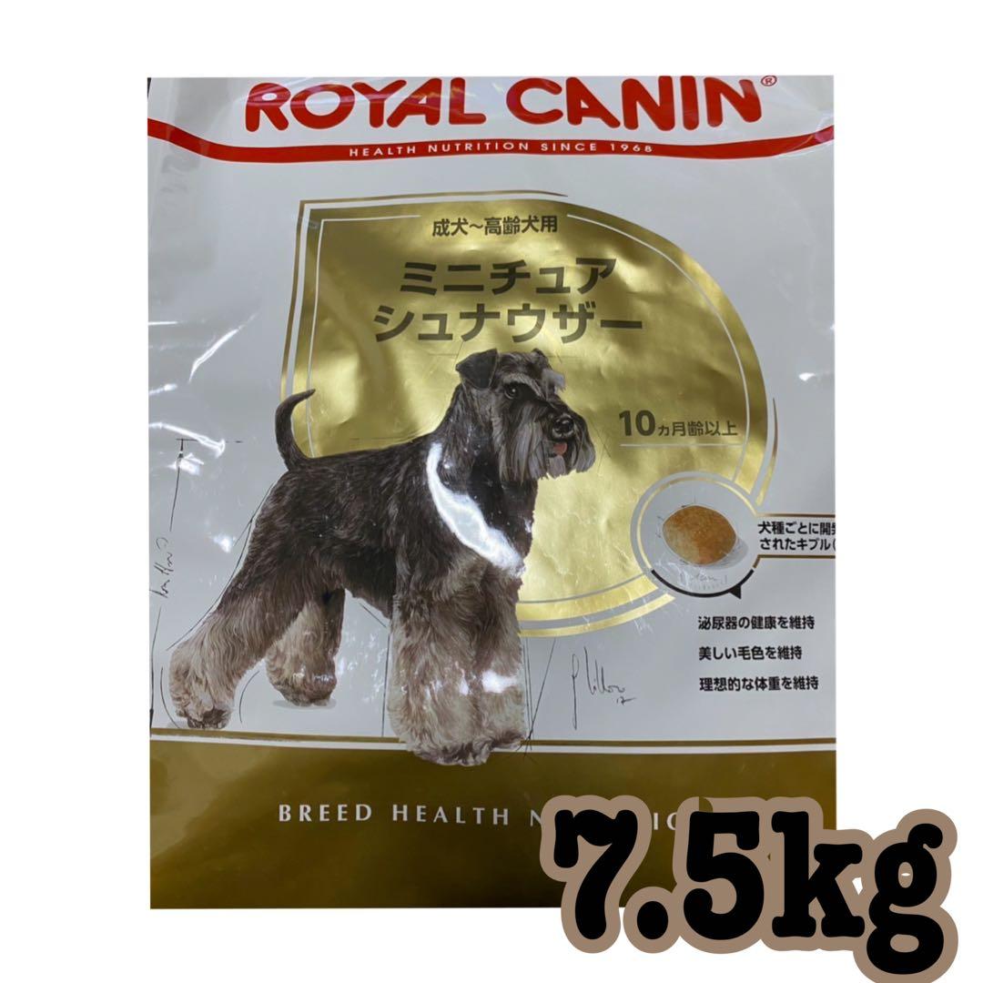  CANIN ミニチュアシュナウザー 7.5kg