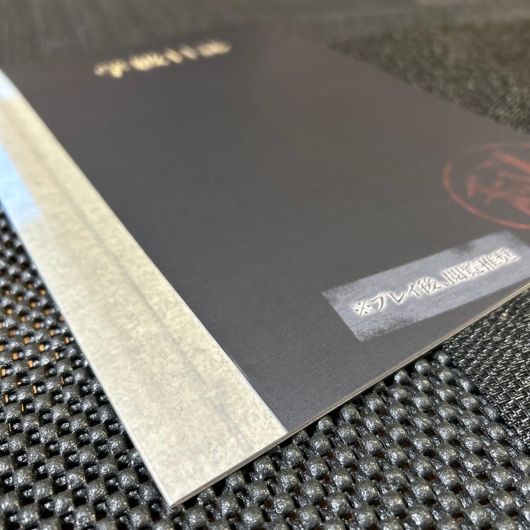 BAD MEDICINE 学級日誌　rejet ステラワース