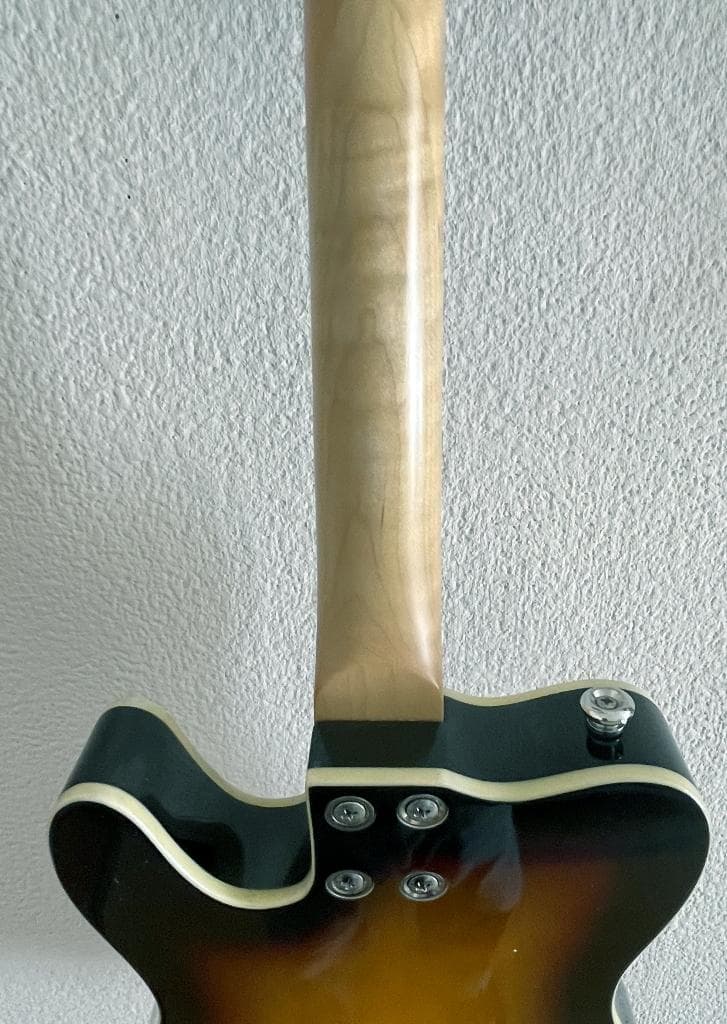 【カメ】エレキマンドリン ローズウッド指板（ソリッドボディ）