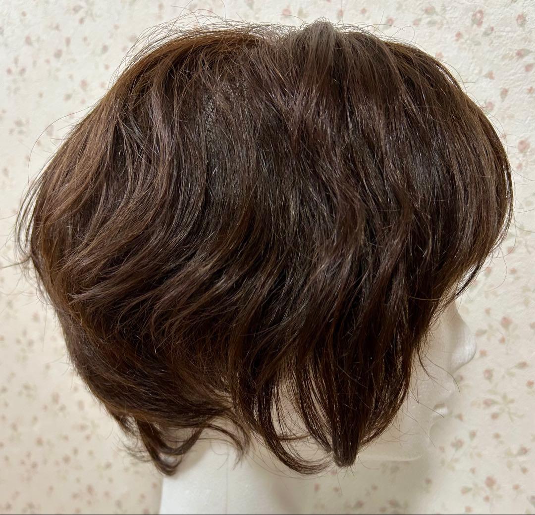 ジュリアオージェ　ブラウン ショート　ウィッグ　アートネイチャー　メッシュ