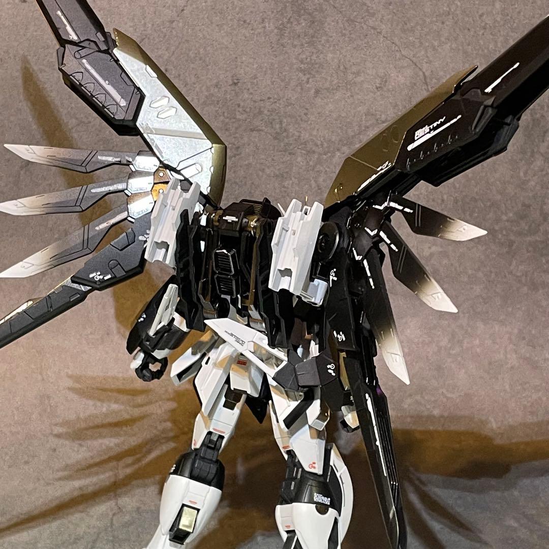 確認用 RG ディスティニーインパルスガンダム