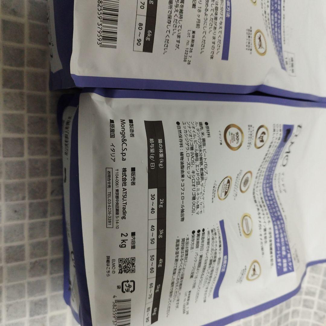 ELMO ADULT INDOOR エルモ