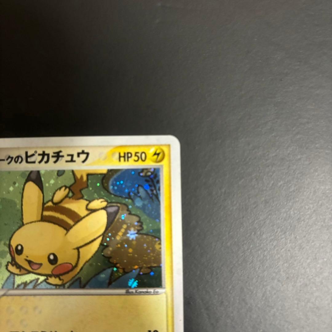 ポケパークのピカチュウ