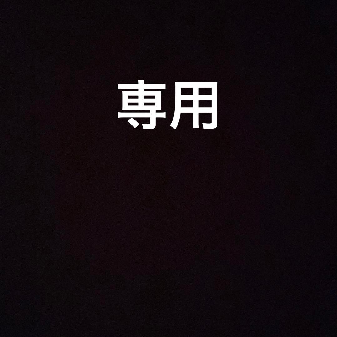 【専用】iPadPro 第1世代 128GB 12.9