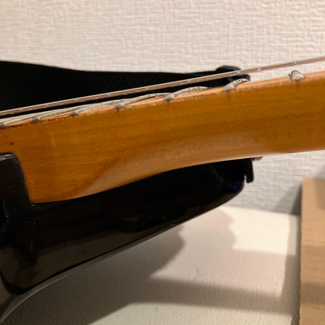 ピグノーズ PGG200 サンバースト