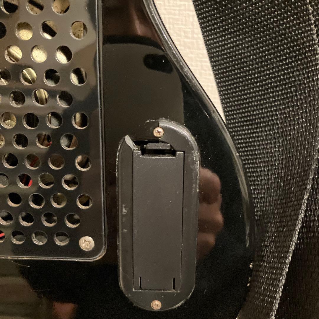 ピグノーズ PGG200 サンバースト