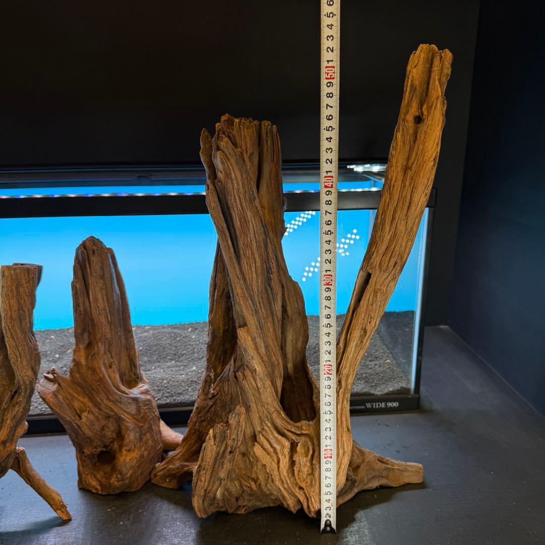 MRW-6798 赤系流木4本セット　90cm水槽用　切株　一点物　アクアリウム
