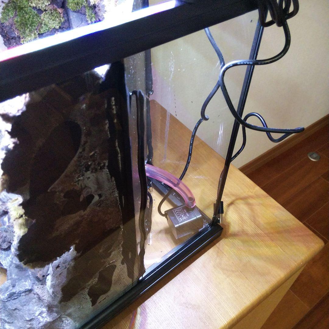 【受注生産】イモリウム　アクアテラリウム グラステラリウム