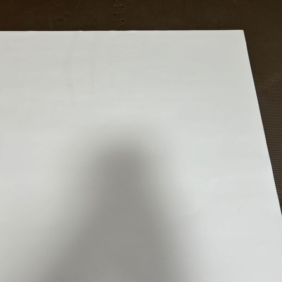 イクイノックス　ポスター　第166回天皇賞秋