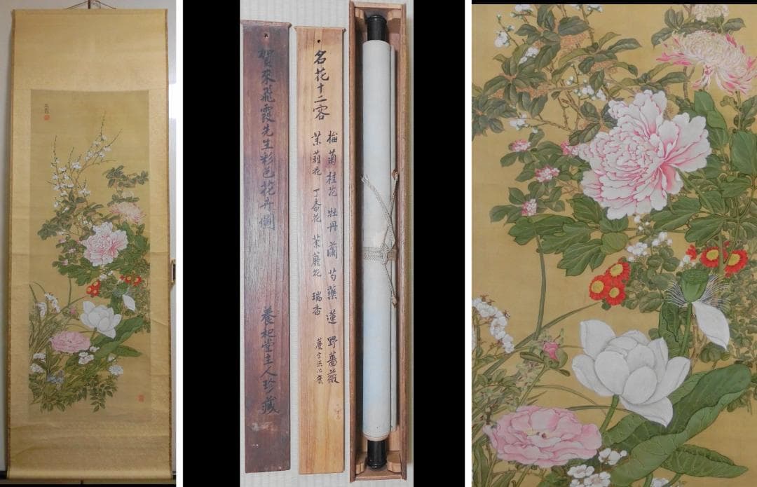 賀来飛霞 彩色花弁圜 希少 墨彩画 日本画 牧野富太郎 小石川植物園 大分県