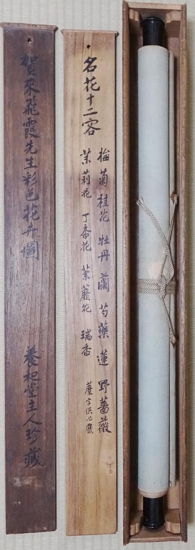 賀来飛霞 彩色花弁圜 希少 墨彩画 日本画 牧野富太郎 小石川植物園 大分県