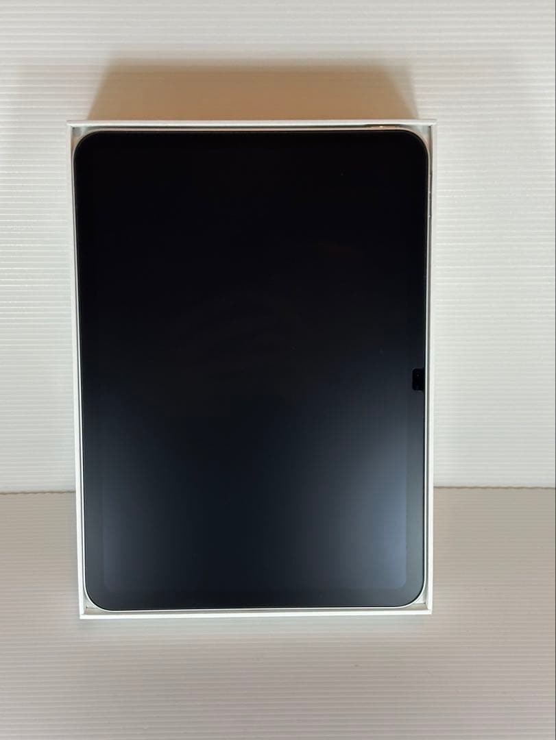 iPad第10世代 Wi-Fi 64GB シルバー 非正規ペンシル付属