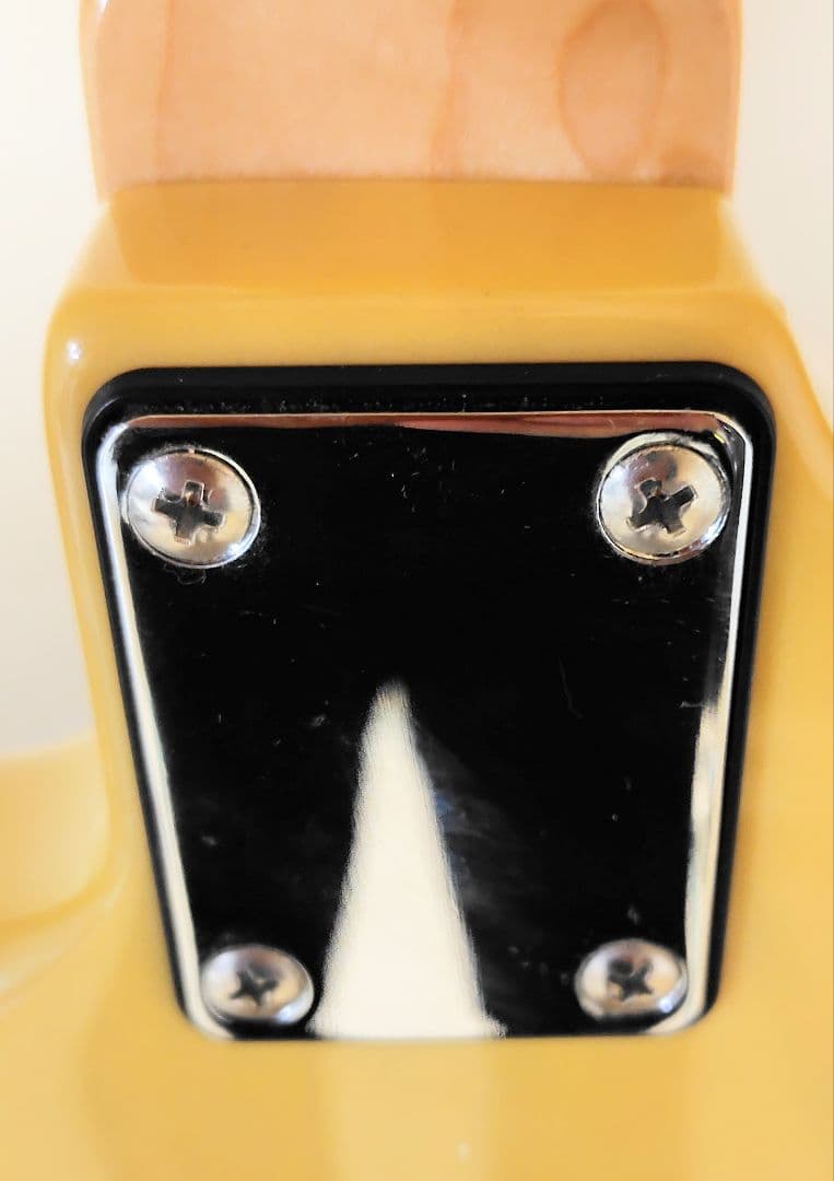 Ｂucchus ストラトタイプ　　　 (入手困難 生産中止モデル)