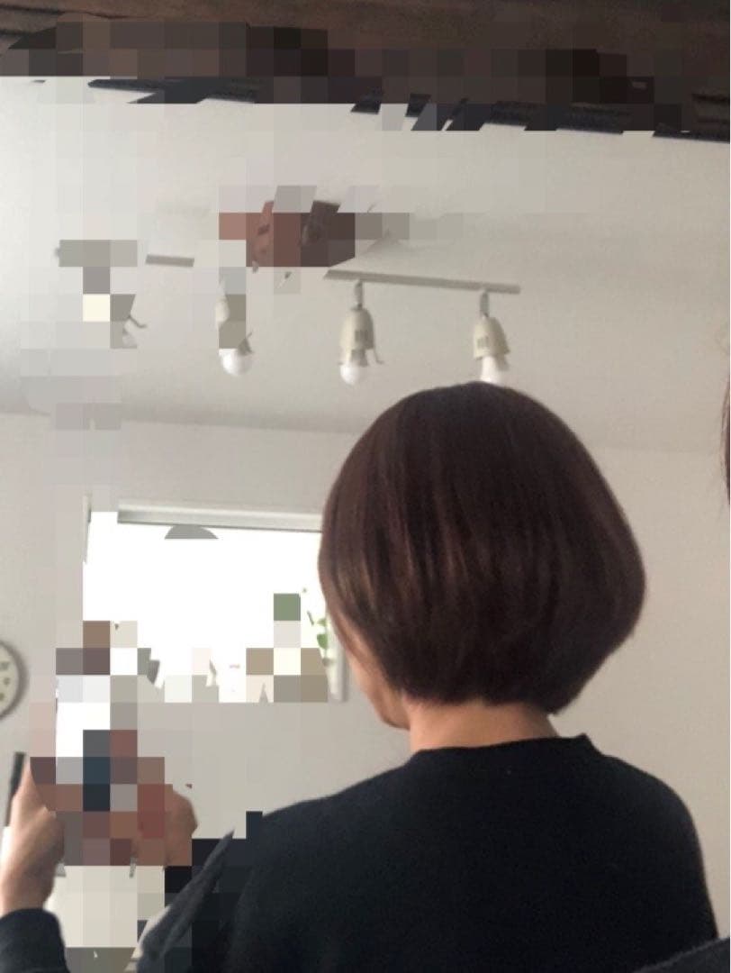 人毛100% ショートボブ ブラウン 未使用