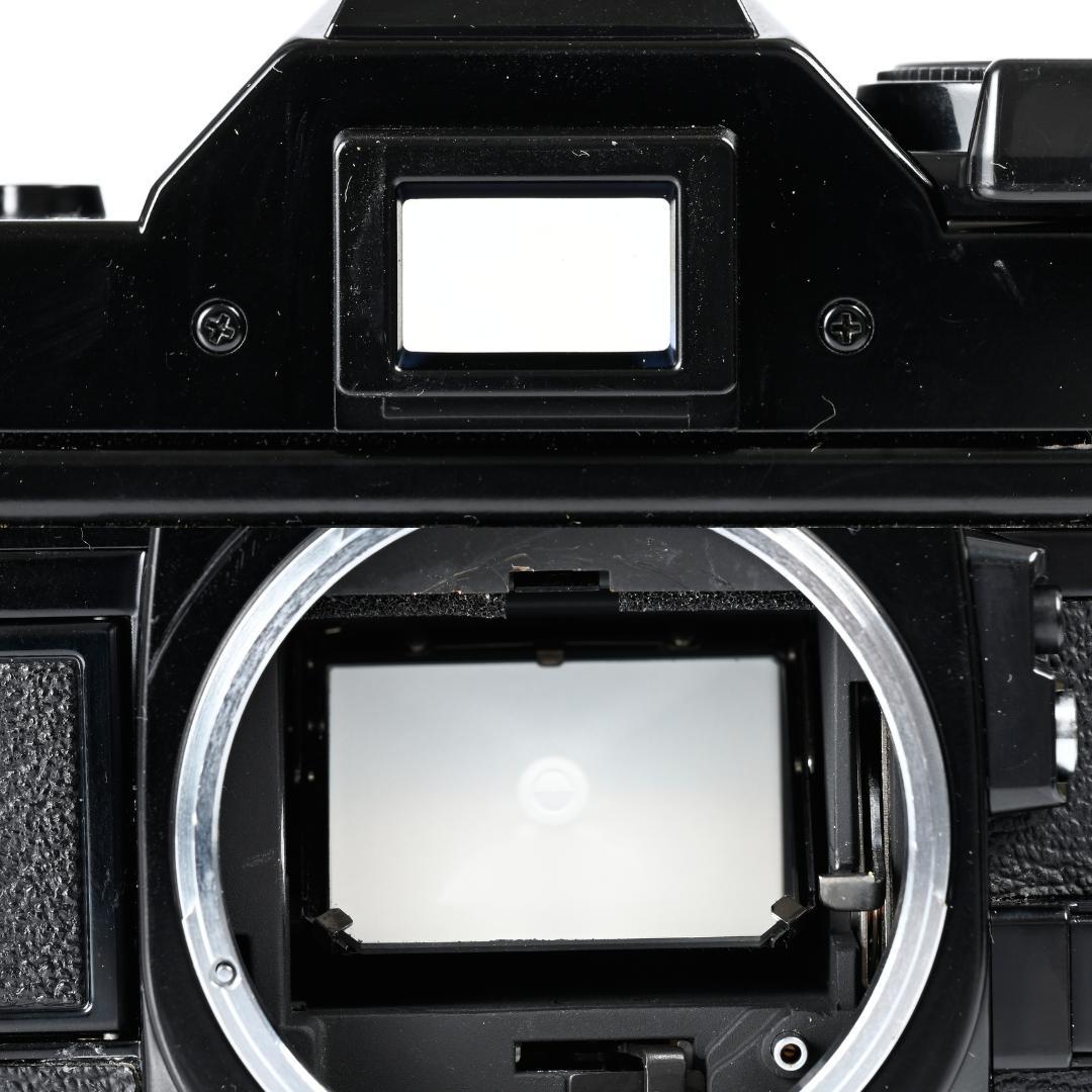 綺麗 Canon AE-1 PROGRAM / New FD 50mm F1.4