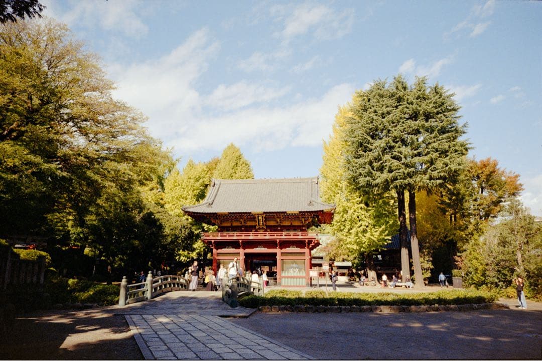 MINOLTA TC-1 フィルムカメラ