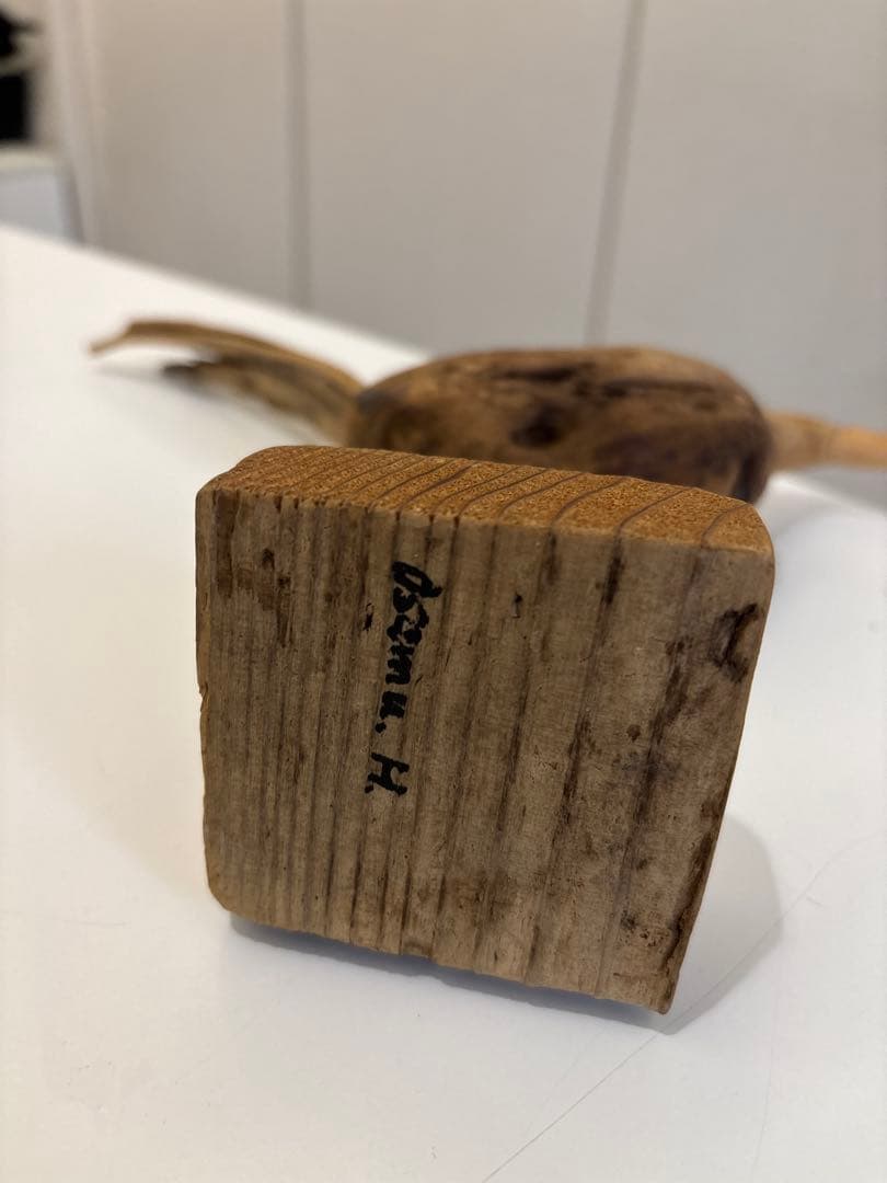 針原修　　流木の鳥