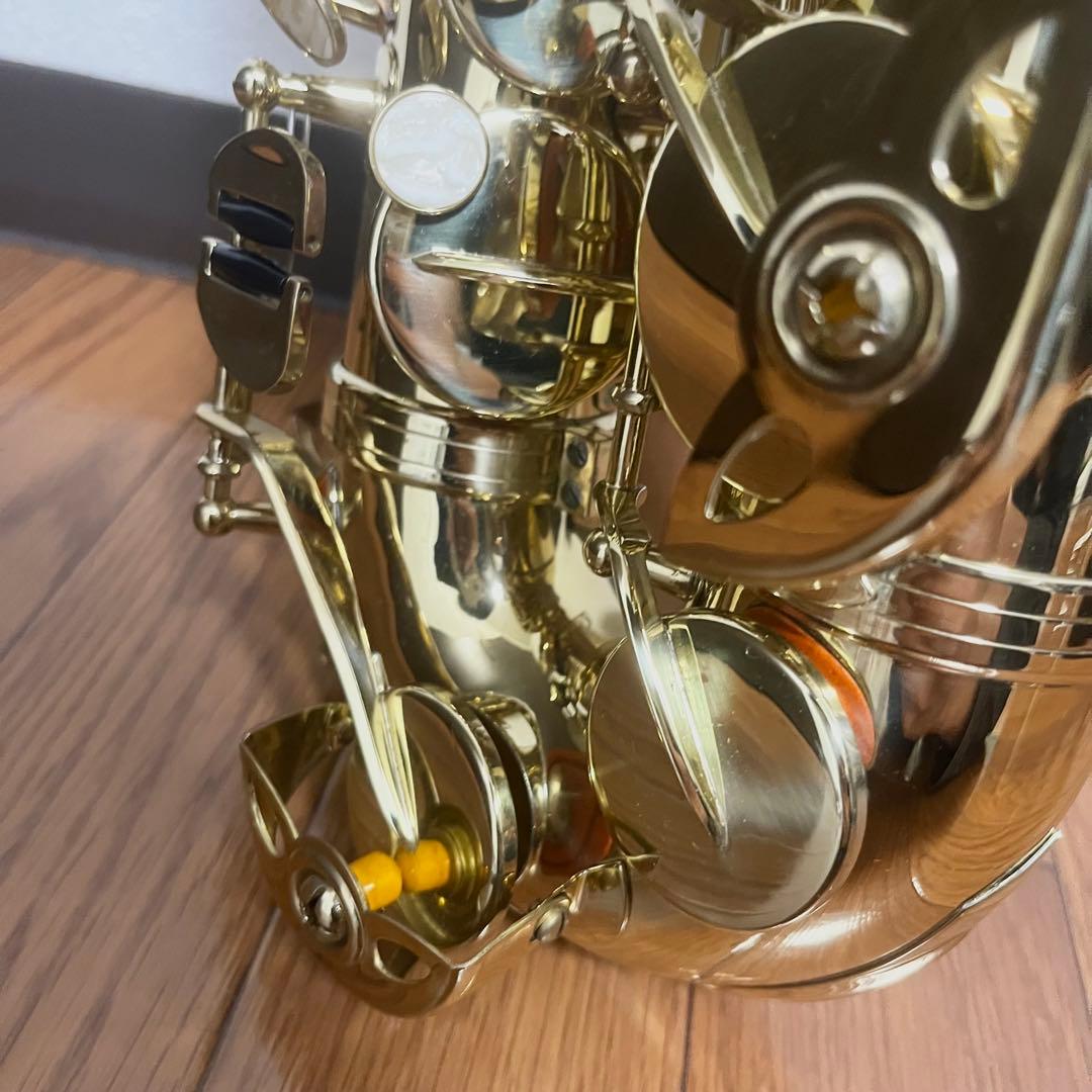 Kaerntner ケルントナー アルトサックス KAL-62 彫刻入り ハード