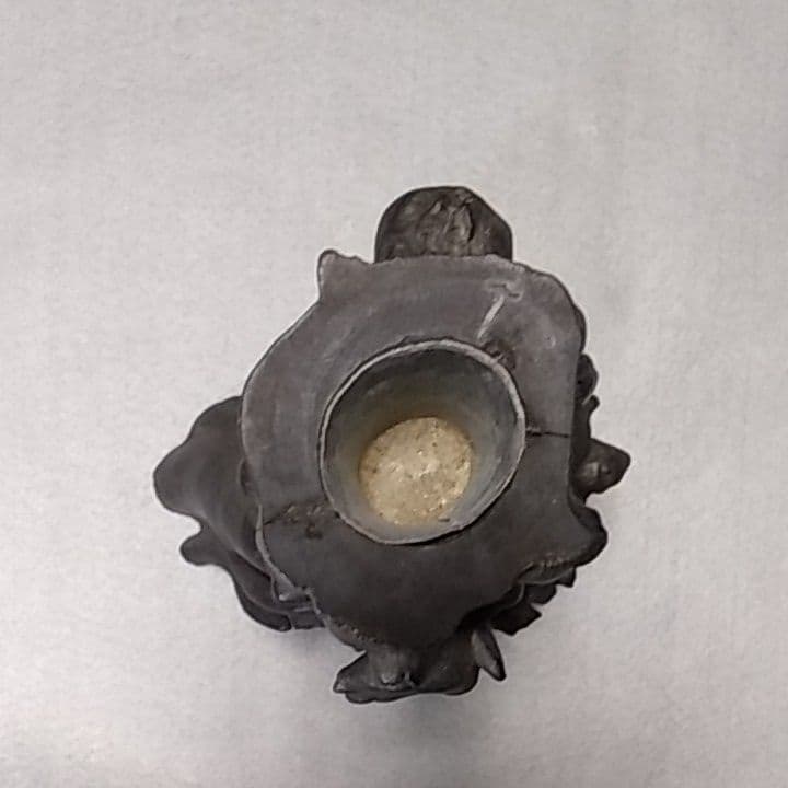 海松　深海松　黒珊瑚