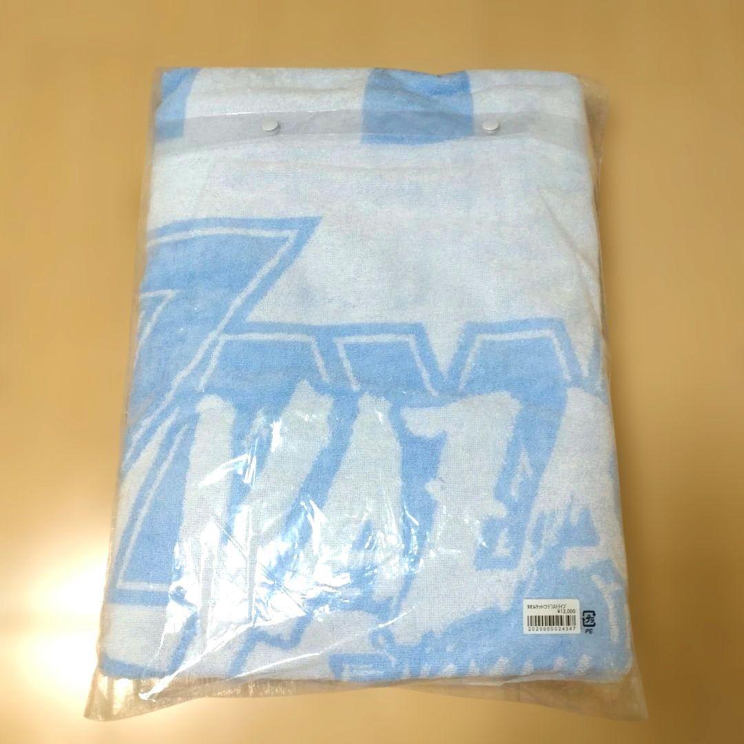 E.YAZAWA 矢沢永吉 フデロゴ ストライプ タオルケット 水色 新品