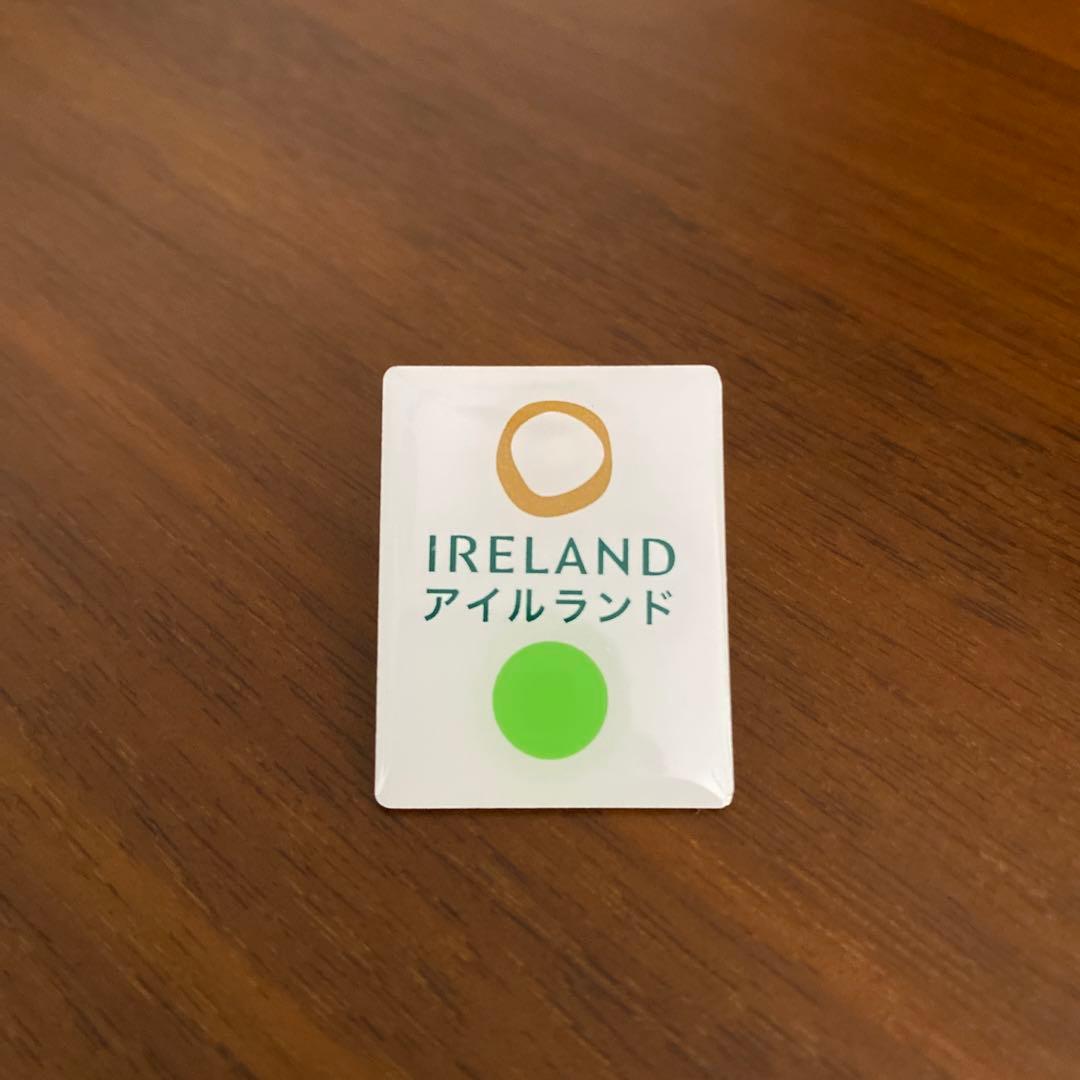 関西万博　アイルランド ピンバッジ