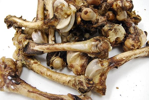 ◎大容量◎京都丹波産 天然鹿肉ジャーキー【大腿骨】【肩甲骨】約3.5㎏まとめ売り