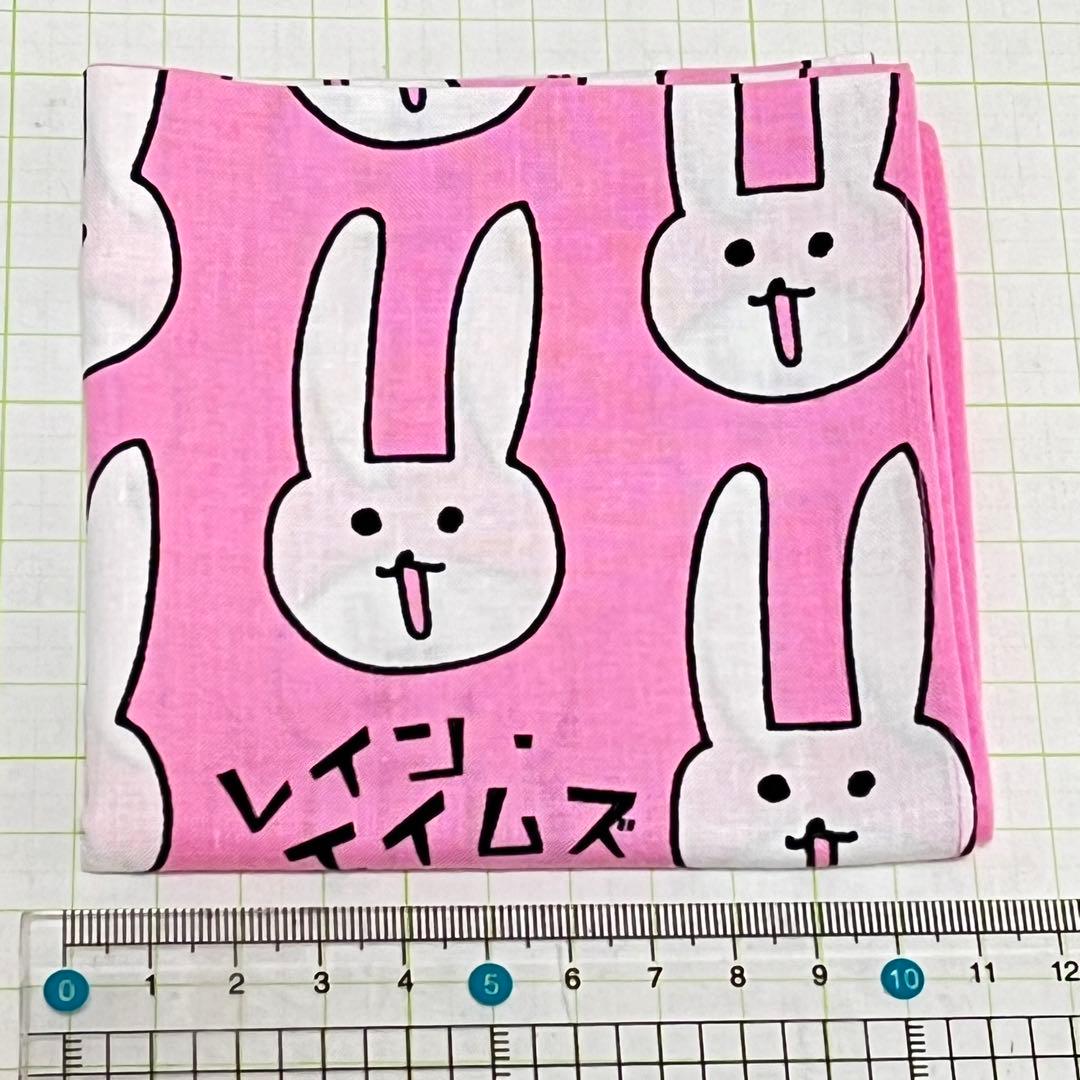 レイン・エイムズ　ウサギ　魔法のハンカチ