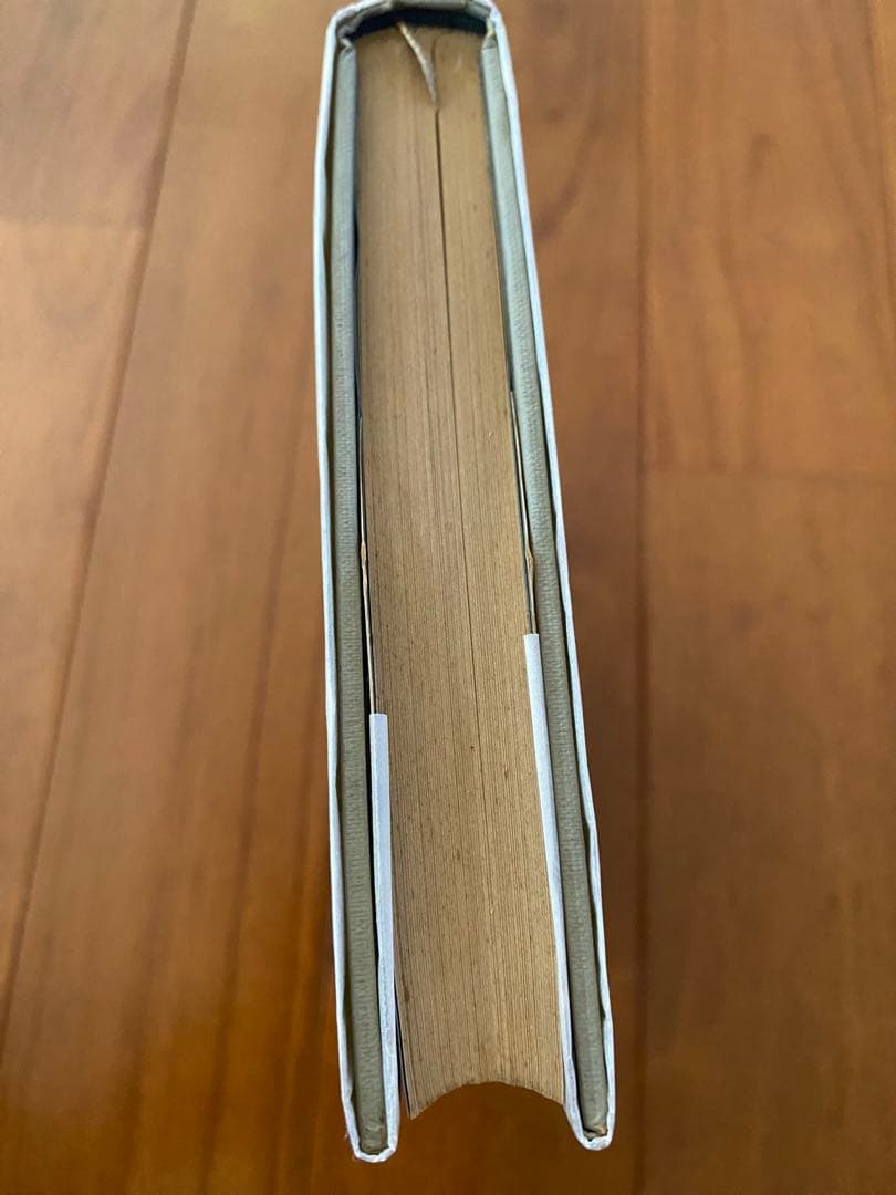 岡田睦『ワニの泪』河出書房新社