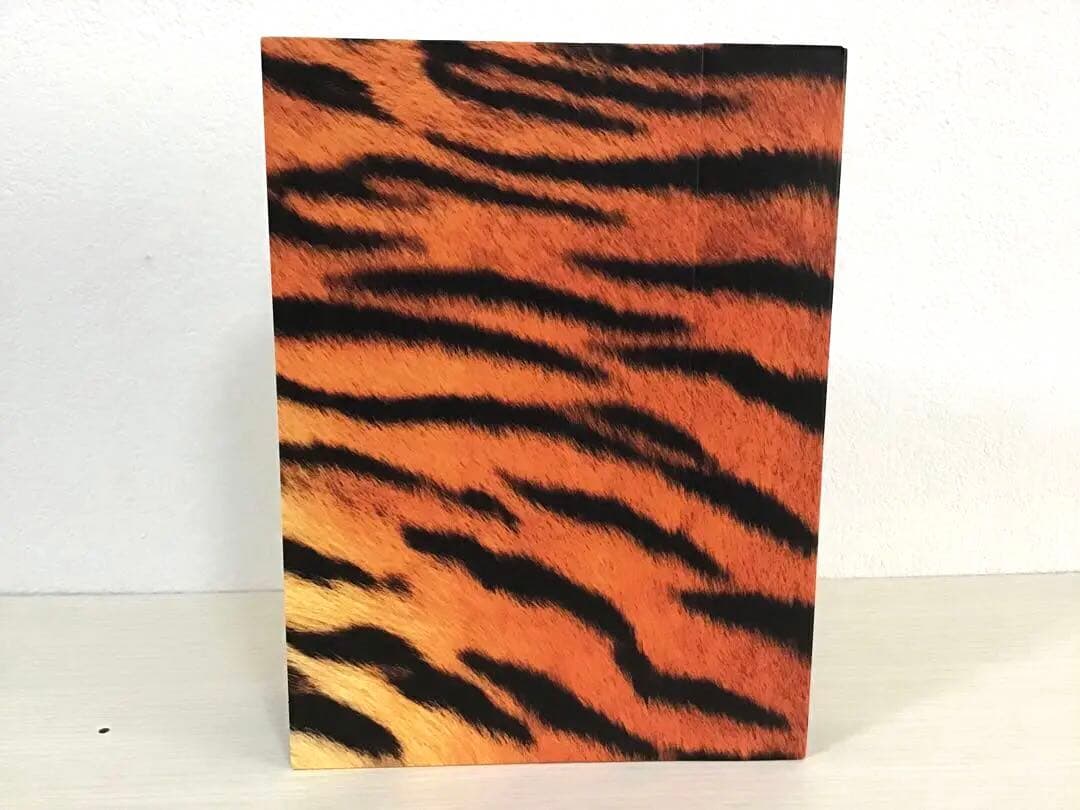 【早い者勝ち…美品・激レア品❣️】桑田佳祐の音楽寅さんDVDあいなめBOX