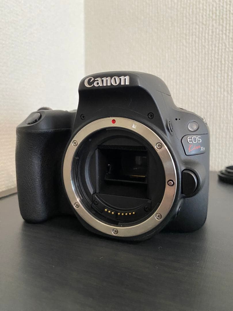 CanonEOSkissX9レンズキット＋CanonEF75-300mm