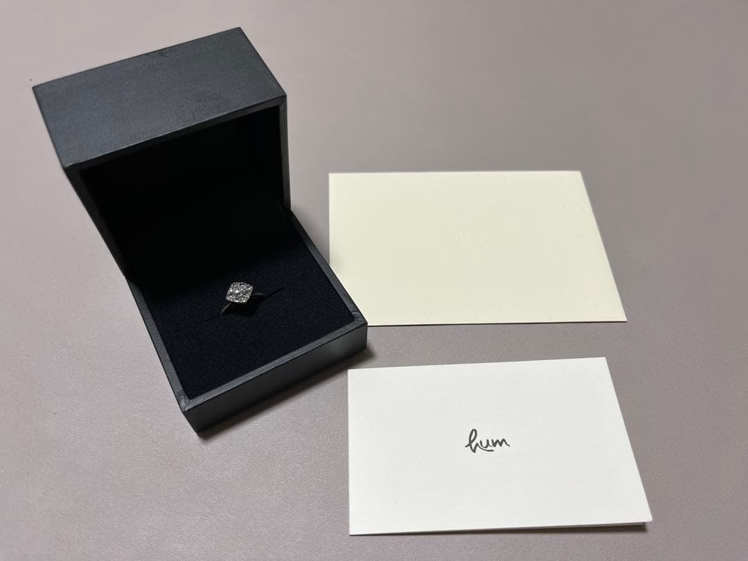 hum 半人前　パヴェリング　9号