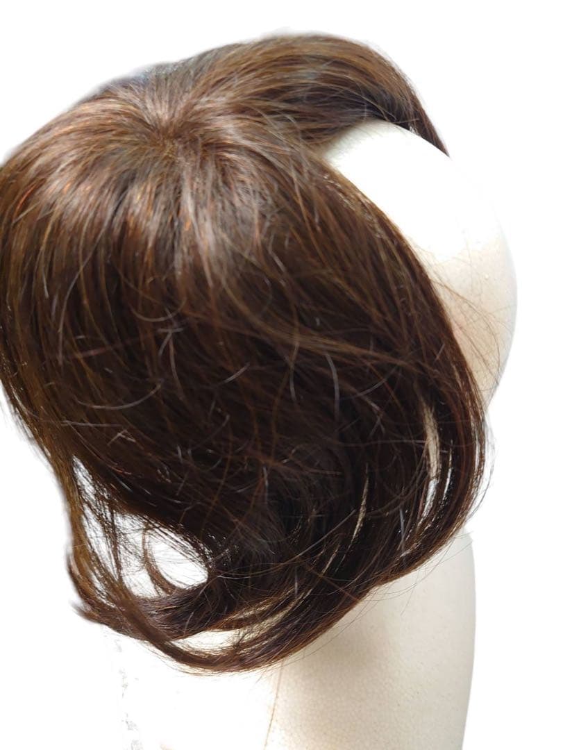 エアリッチ　ジュリアオージェ　部分ウィッグ　アートネイチャー