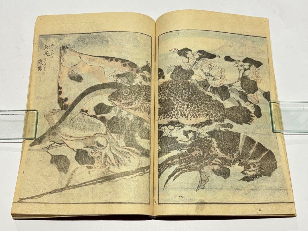 「北斎画譜 中巻」葛飾北斎 明治期刊 1冊|和本 古典籍 浮世絵