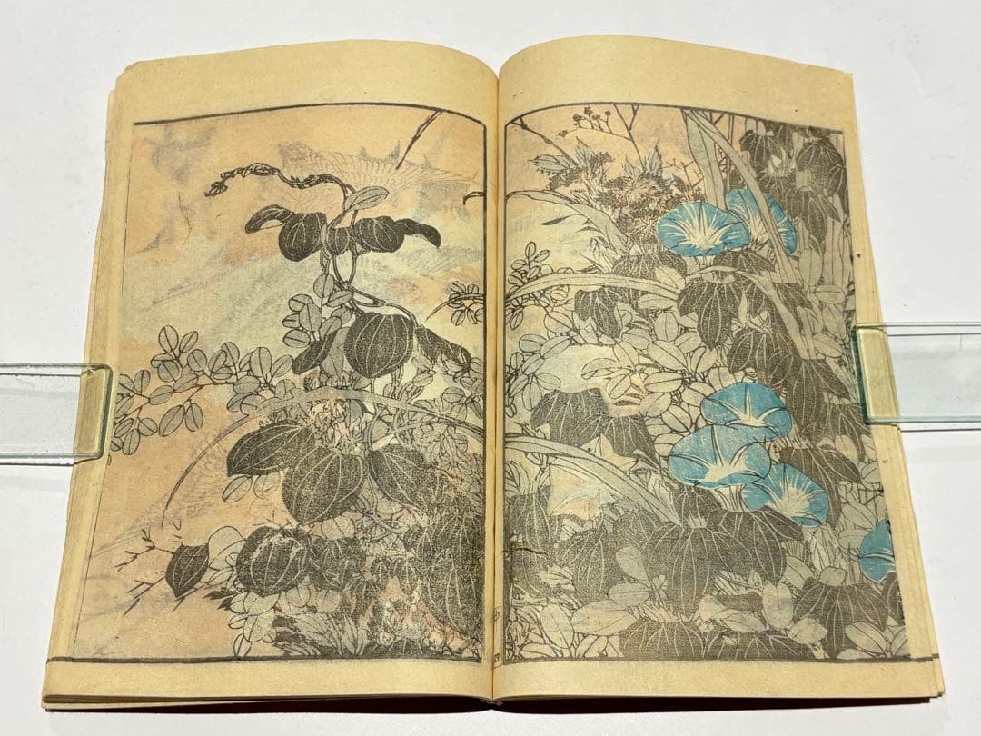 「北斎画譜 中巻」葛飾北斎 明治期刊 1冊|和本 古典籍 浮世絵