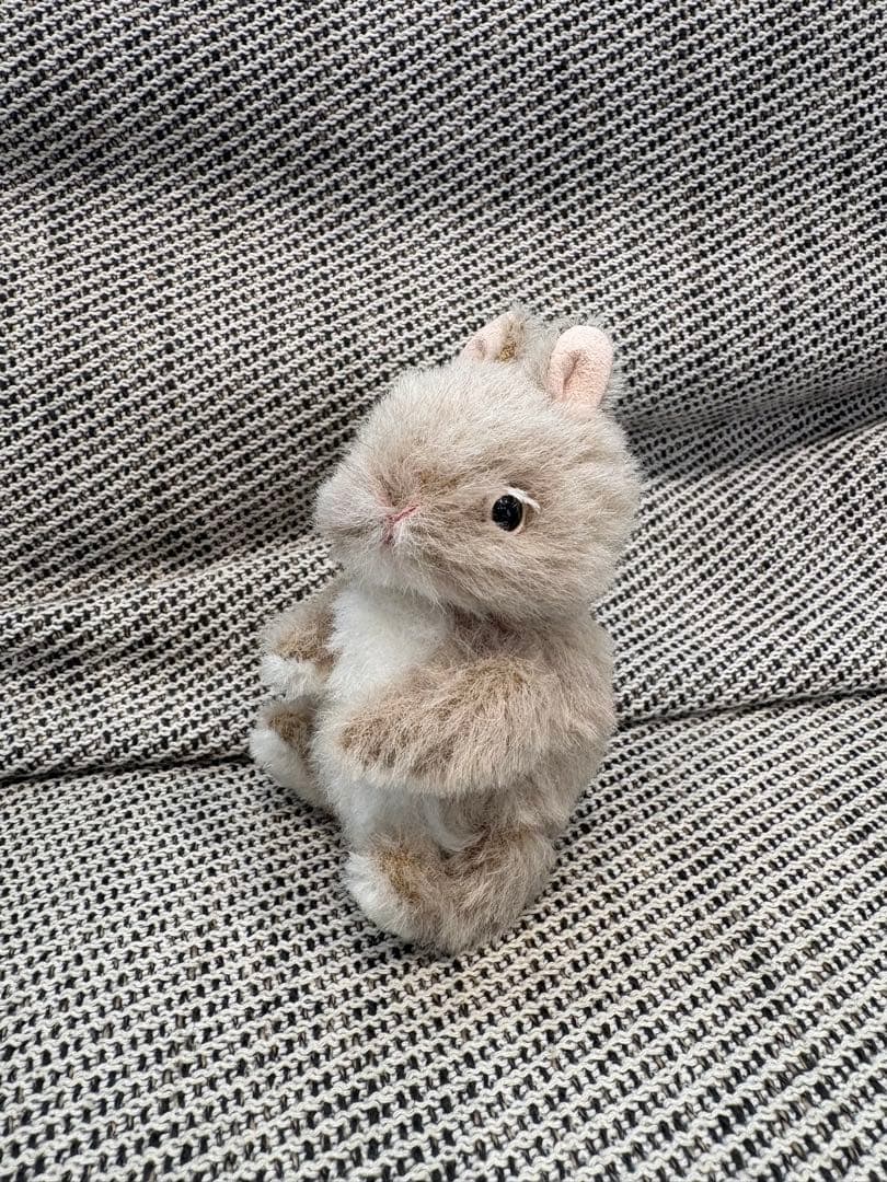 こうさぎ　テディベア