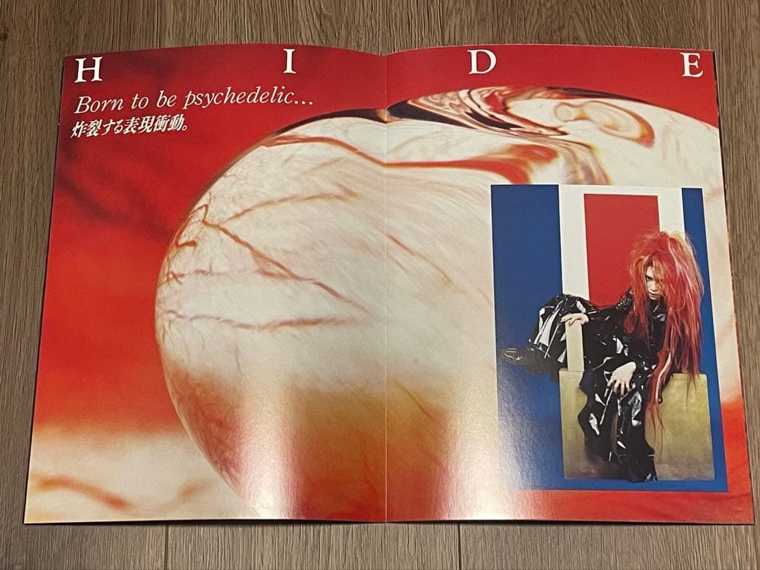 X JAPAN/X JAPAN RETURNS、HIDEとHEATHのピック付き