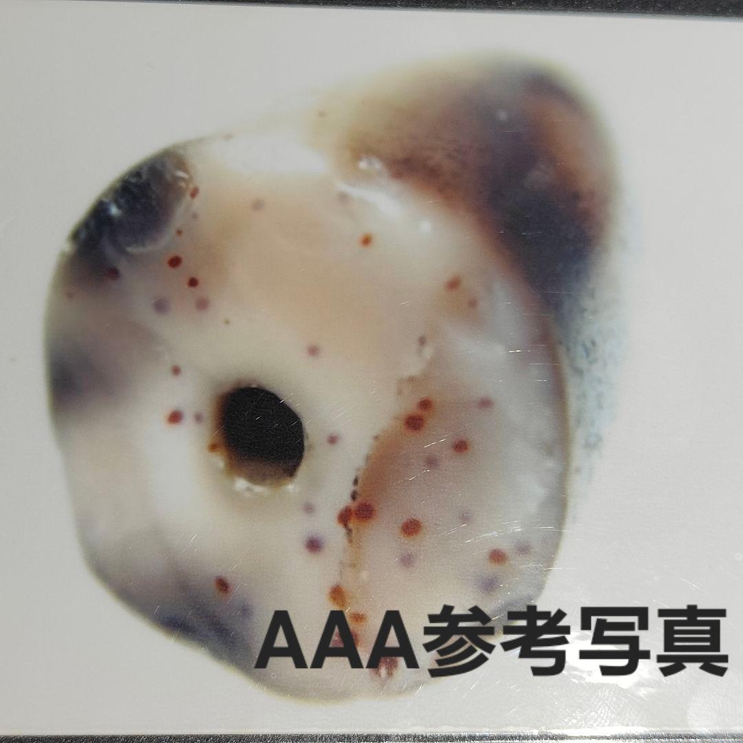 18 老礦天珠　二重双天地天珠　天然石　風水　御守り　ブレスレット　ネックレス