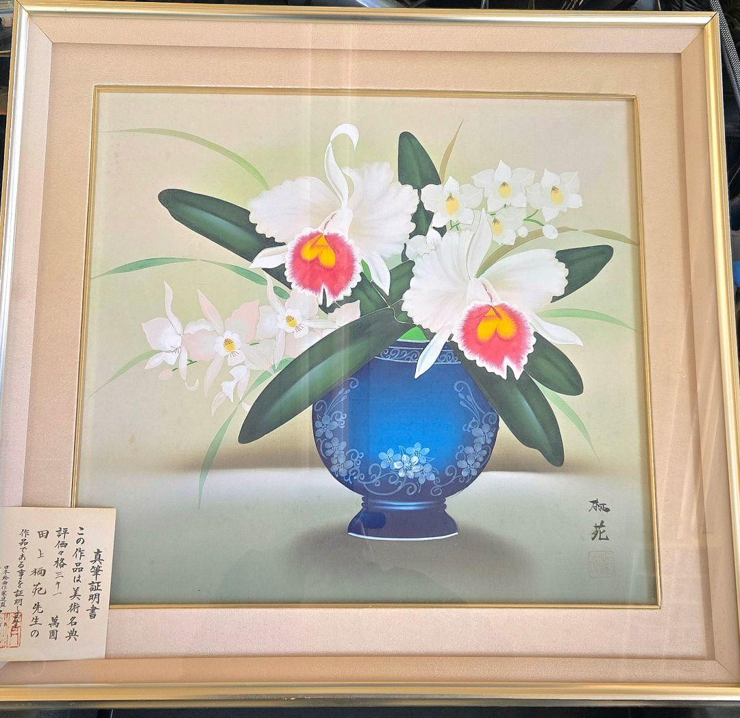 日本絵画　田上栖苑 洋蘭　カトレア 絵画