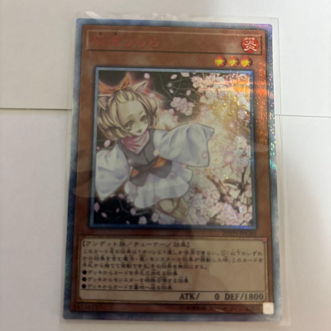 遊戯王 灰流うらら 20th