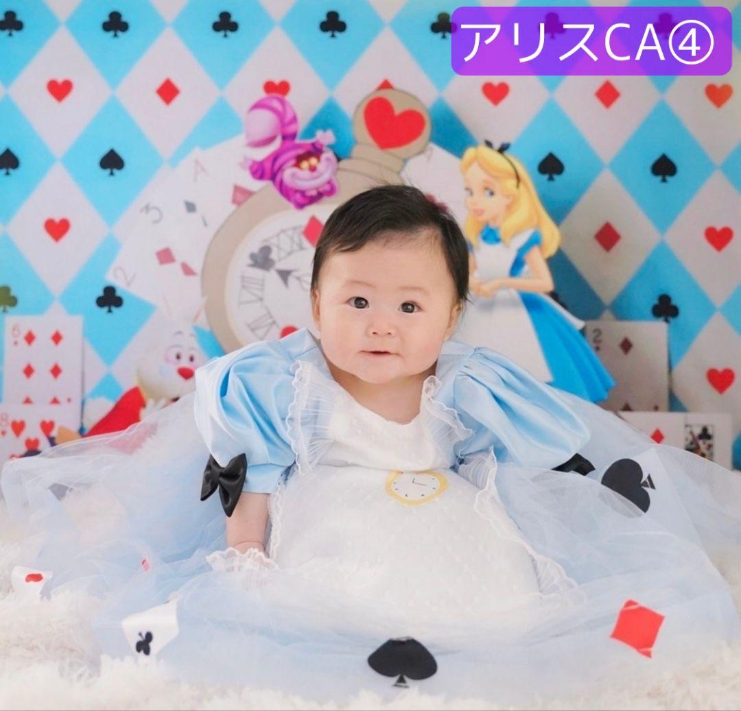 背景布【秋XE】サンプル80×120　ペット撮影用ブース　十五夜　お月見　宇宙