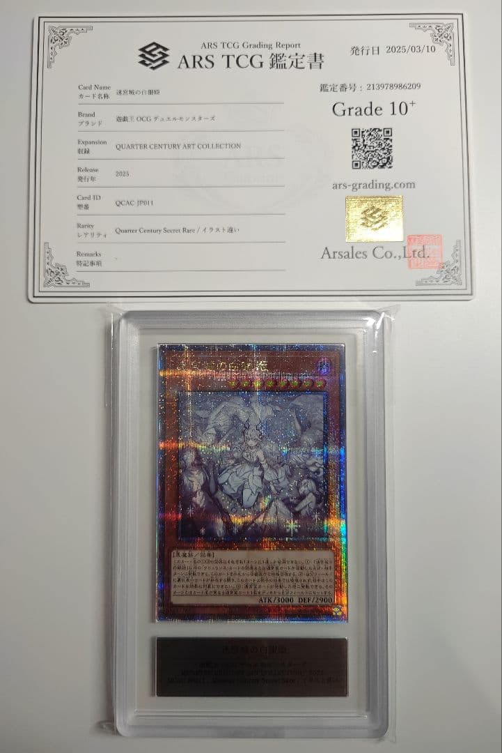 迷宮城の白銀姫　25thシク　クオシク　ARS10+