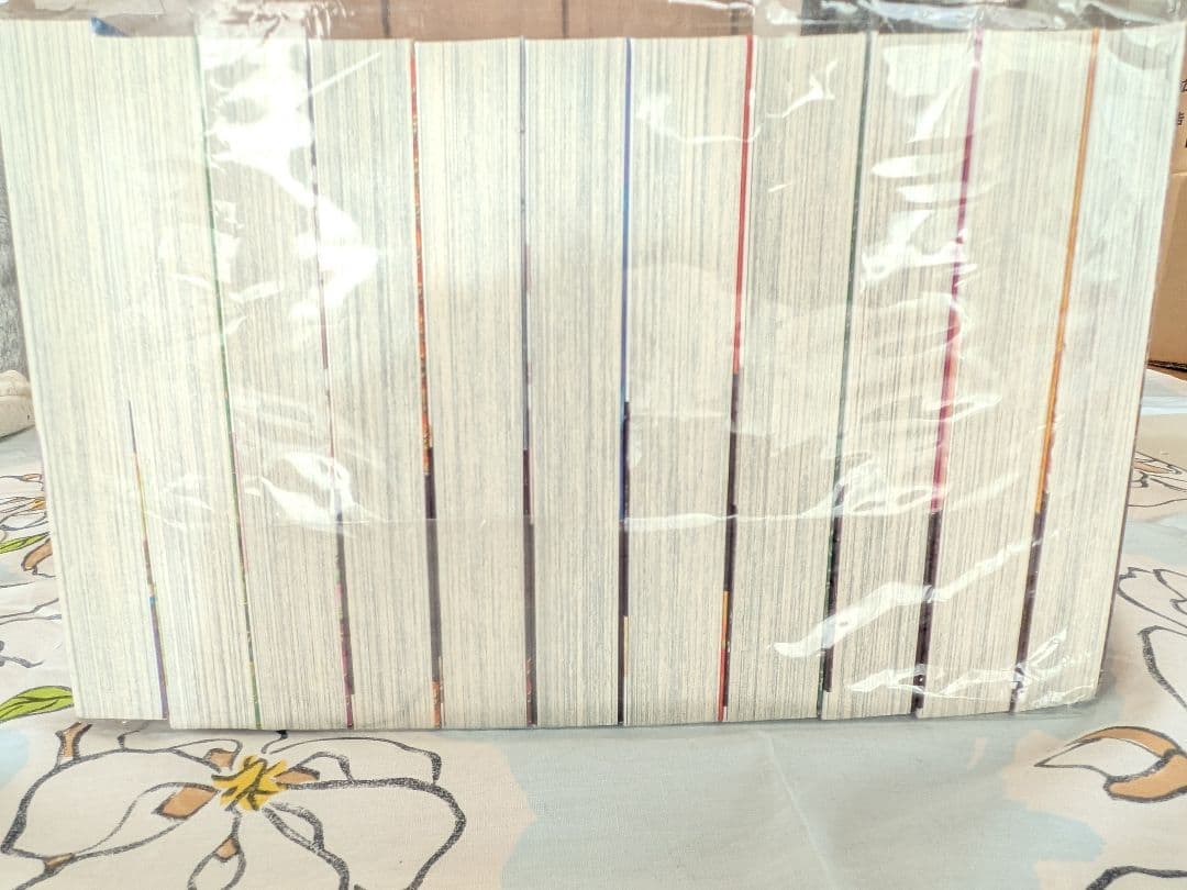 【期間限定価格】天上の虹 全11巻 里中満智子